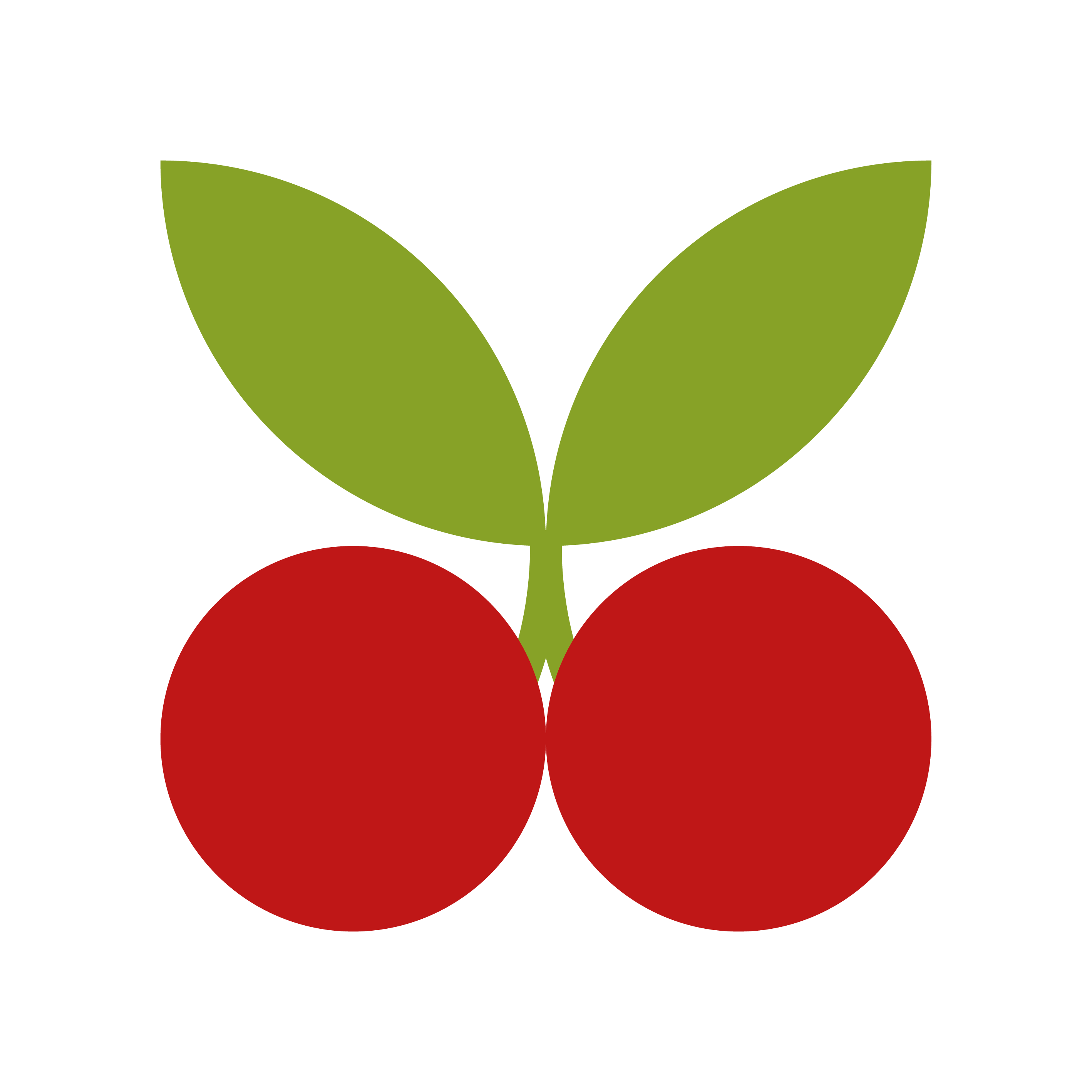 frutas (90)